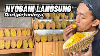 Surga Durian di Subang! Saung Duren Mengamit Tawarkan Montong, Musang King hingga Durian Kuning Super Legit