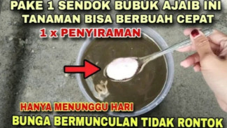Rahasia Pupuk Ajaib dari Bahan Sederhana yang Bikin Tanaman Rajin Berbuah