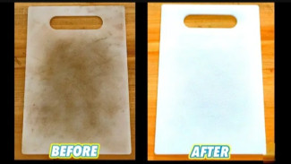 Gak Ribet! 3 Cara Membersihkan Talenan Plastik Pakai Bahan Murah di Rumah