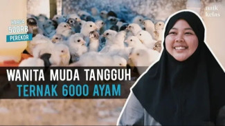 Lunas Utang Ratusan Juta dari Ayam Sentul: Kisah Inspiratif Koni yang Bangkit dari Nol