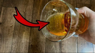 Rahasia Lantai Kayu Kinclong Permanen, Bebas Kusam dan Kering!