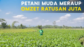 Lulusan Sarjana Bangga Jadi Petani: Kisah Khairu Rizal Berjuang untuk Regenerasi Pertanian