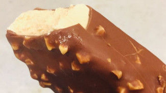 Cara Membuat Es Krim Cokelat di Rumah, Modal Sedikit Untung Banyak, Dijual 3 Ribuan Juga Udeh Oke!