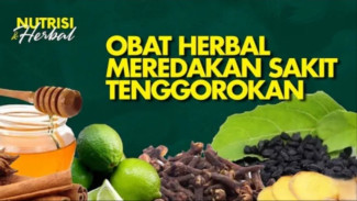 Bukan Cuma Jahe! Ini Resep Komplet Ramuan Sakit Tenggorokan yang Bikin Plong Instan!