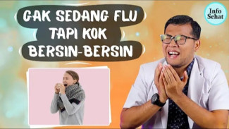 Padahal Nggak Flu, Kenapa Sering Bersin-bersin? Ini Penyebab Ajaib & Solusi Paling Jitu!