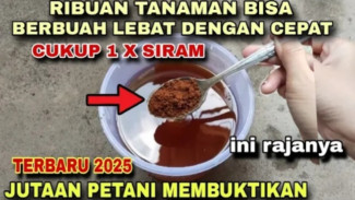 Cara Mudah Membuat Pupuk Organik Cair dari Bahan Serbuk Kopi