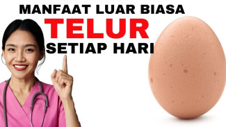 Banyak Orang Salah Paham, Ternyata Telur Bisa Menjaga Jantung dan Otak