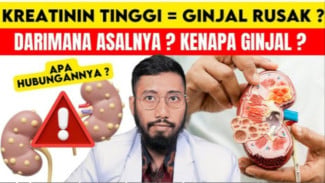 Kreatinin Tinggi Bikin Panik? Kenali Penyebab dan Cara Menjaga Ginjal Tetap Sehat!