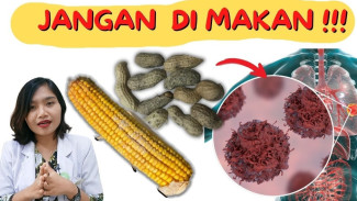 Terungkap! Aflatoksin di Kacang dan Jagung Bisa Picu Stunting dan Kanker Anak, Racun Mematikan