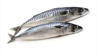 Suka Makan Ikan? Jangan Asal Beli, Ini Jenis Ikan yang Bagus untuk Kesehatan