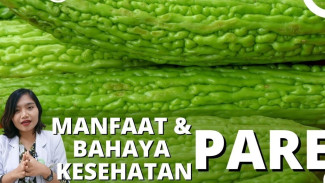 Pare Pahit, Manfaatnya Manis! Mulai dari Obati Diabetes, Cegah Kanker Hingga Lindungi Organ Vital Tubuh