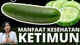 Efek Mengejutkan Mentimun, Buah Murah yang Bisa Bikin Tubuh Lebih Segar dan Awet Muda