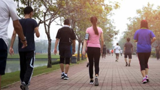 Manfaat Jalan Pagi Selama 30 Menit Setiap Hari
