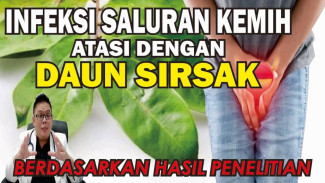 Teh Daun Sirsak Disebut Ampuh Usir Infeksi Saluran Kemih, Cara Bikin dan Manfaatnya Bikin Kaget