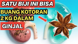 Bunga Lawang Bikin Melongo, Cuma Dua Butir Langsung Bantu Ginjal Lebih Bersih