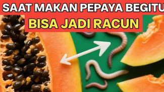 7 Kesalahan Makan Pepaya yang Diam-Diam Bisa Bahayakan Kesehatan Lansia