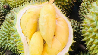 Selain Enak, Ini Manfaat Buah Durian untuk Kesehatan!