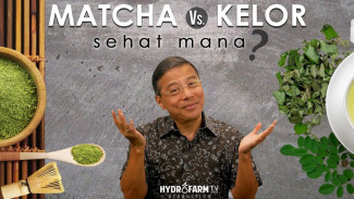 Teh Kelor dari Indonesia Katanya Lebih Dahsyat dari Matcha Jepang, Benarkah Begitu?