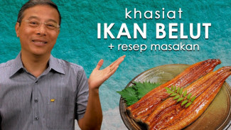 Bikin Melongo! 9 Manfaat Ikan Belut Ternyata Sehebat Obat Dokter, Dari Tulang Kuat Sampai Mata Jernih