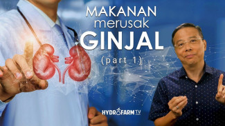 Terungkap! 5 Makanan dan Minuman Ini Diam-Diam Bisa Rusak Ginjalmu Cepat