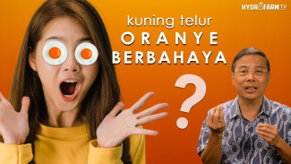 Warna Kuning Telur Bisa Oranye Pekat Hingga Merah, Ternyata Ini Rahasia Nutrisi Supernya!