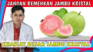 Lawan Diabetes & Kolesterol! 7 Manfaat Buah dan Daun Jambu Kristal yang Wajib Coba!