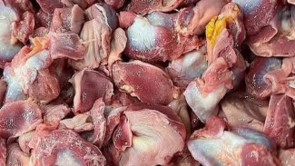 Suka Makan Jeroan Ayam? Yuk Kenali Manfaat dan Bahayanya Jika Dikonsumsi Secara Berlebih!
