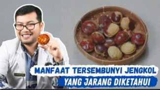 Aroma Kontroversial! Bongkar Bahaya Mengerikan Jengkol dan Manfaat Ajaib yang Jarang Diketahui!