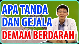Demam Tinggi 7 Hari dan Muncul Bintik Merah? Waspada Gejala Demam Berdarah