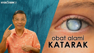 12 Obat Alami untuk Katarak yang Bisa Bikin Mata Lebih Jernih Dalam Hitungan Minggu