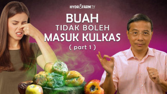 Awas Salah! 11 Buah Segar Ini Malah Jadi Cepat Busuk Kalau Masuk Kulkas