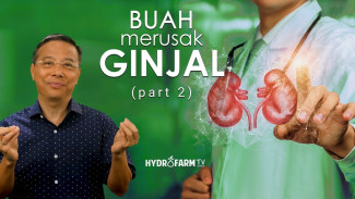 Waspada! 8 Buah Sehat Ini Ternyata Bisa Jadi Musuh Utama Ginjal Kamu