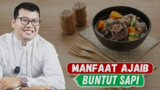 Jangan Kalap! Bongkar Tuntas Bahaya dan Manfaat Buntut Sapi yang Wajib Diketahui!