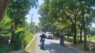 Jalan Unsub hingga Kelurahan Wanareja Menyeramkan di Malam Hari, Ini Jawaban Dinas Perhubungan Subang