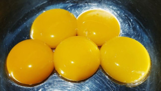 Bukan Sembarangan Kuning, Ini Manfaat Luar Biasa Konsumsi Kuning Telur Bagi Kesehatan Tubuh!
