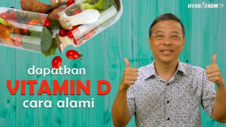 Vitamin D Bukan Sekadar Sinar Matahari, Ini 7 Fakta Mengejutkan yang Jarang Dibahas