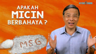 Fakta Mengejutkan Micin, Ternyata Bukan Penyebab Bodoh Malah Punya Manfaat Kesehatan