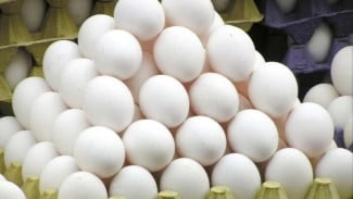 Manfaat Telur Ayam Kampung untuk Kesehatan, Wajib Diketahui!