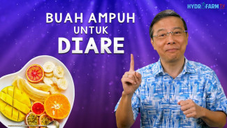 Terbukti Ampuh! 6 Buah Ini Bisa Bikin Diare Cepat Sembuh Tanpa Obat Kimia