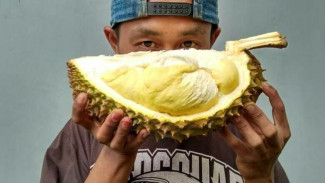 Benarkah Makan Durian Bisa Naikkan Kolesterol dan Tekanan Darah? Ini Faktanya!