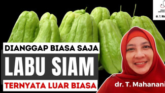 Sayur Murah Rasa Superfood, Labu Siam Ternyata Simpan 7 Khasiat Sehebat Vitamin Mahal!