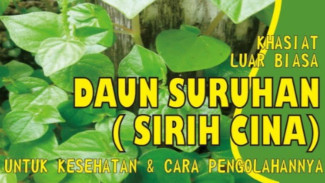 Tanaman Pengganggu Ini Ternyata Super Sehat! Bisa Turunkan Gula Darah dan Rawat Jantung