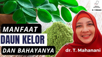 Jangan Anggap Remeh! si Kecil Kelor Punya 7 Manfaat Kesehatan yang Bikin Dokter Geleng-Geleng.