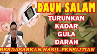 Ternyata Daun Salam Bisa Turunkan Gula Darah! Begini Cara Kerjanya Menurut Penelitian