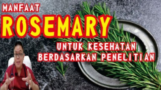 Ternyata Bukan Cuma Bumbu Masak! Rosemary Bisa Tajamkan Ingatan, Cegah Alzheimer, dan Lawan Radikal Bebas!