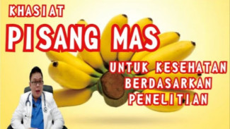 Ternyata Pisang Mas Lebih Hebat dari Pisang Biasa! Bisa Jaga Jantung, Bikin Bahagia, dan Cegah Sembelit!