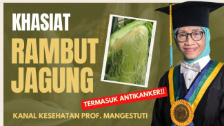 Kandungan Rambut Jagung Mengagumkan, Jaga Kesehatan Sel Otak dan Fungsi Organ Vital