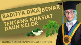 Wow, Khasiat Superfood Daun Kelor Ternyata Bisa Tingkatkan Energi dan Kualitas Tidurmu