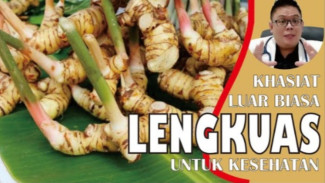 Manfaat Lengkuas: Rempah Dapur yang Ternyata Bisa Lawan Kanker, Turunkan Kolesterol, dan Obati Nyeri Sendi!