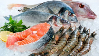 Bunda Wajib Tahu, Ini Tips Menyimpan Ikan di Kulkas Agar Hemat Tempat dan Tahan Lama!